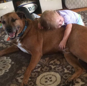 Meet your Posher, Dan